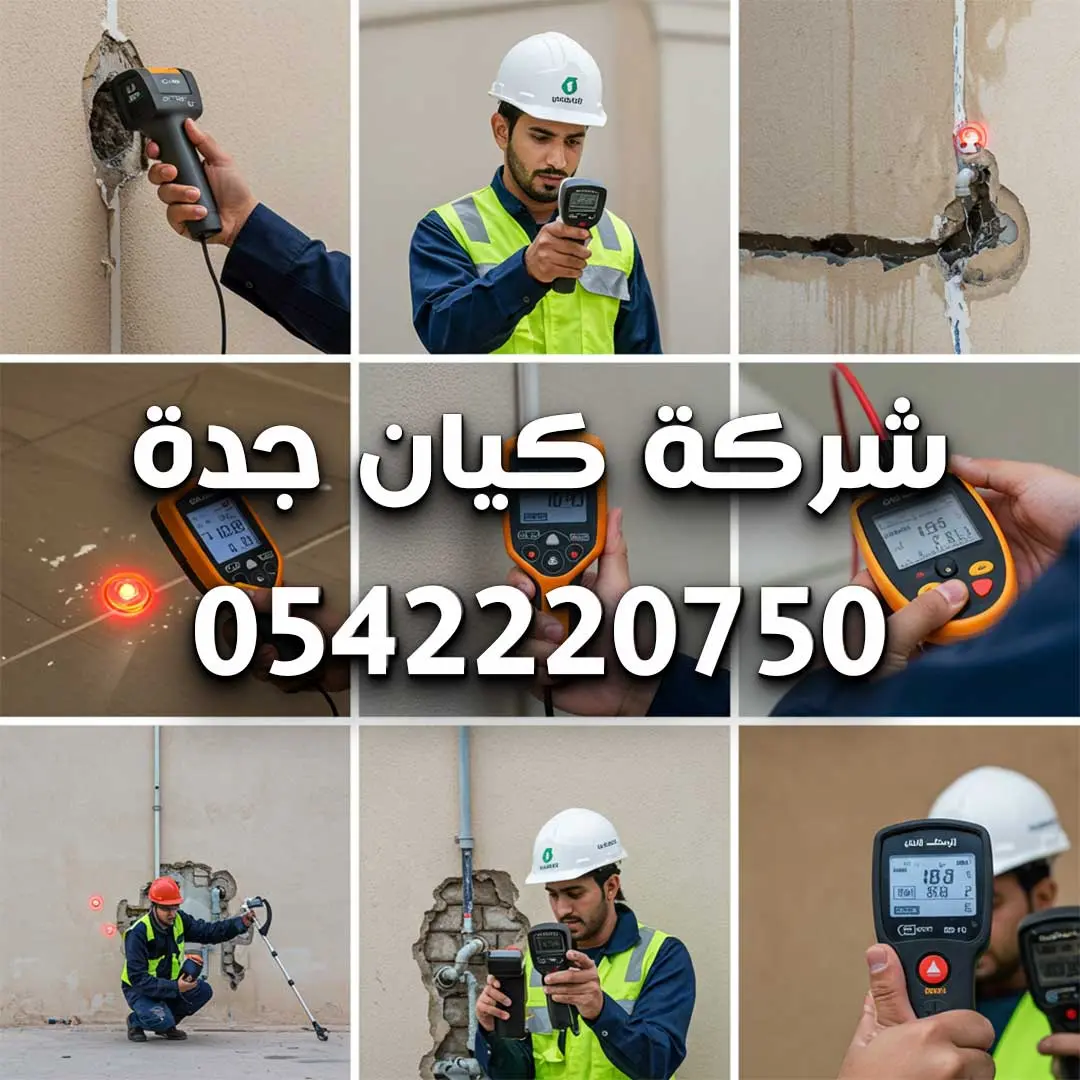 افضل شركة كشف تسربات