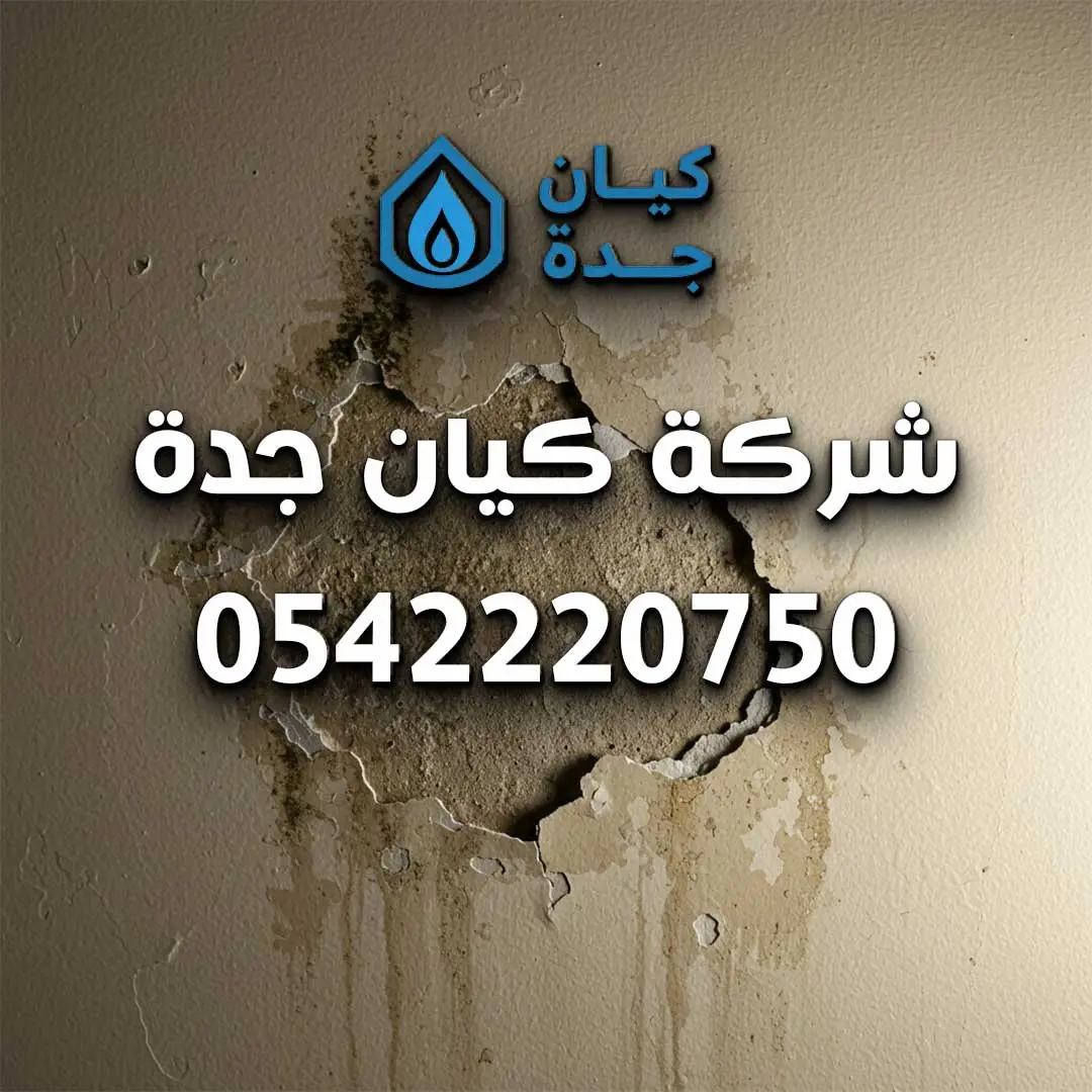 كشف تسربات مياه في الطائف