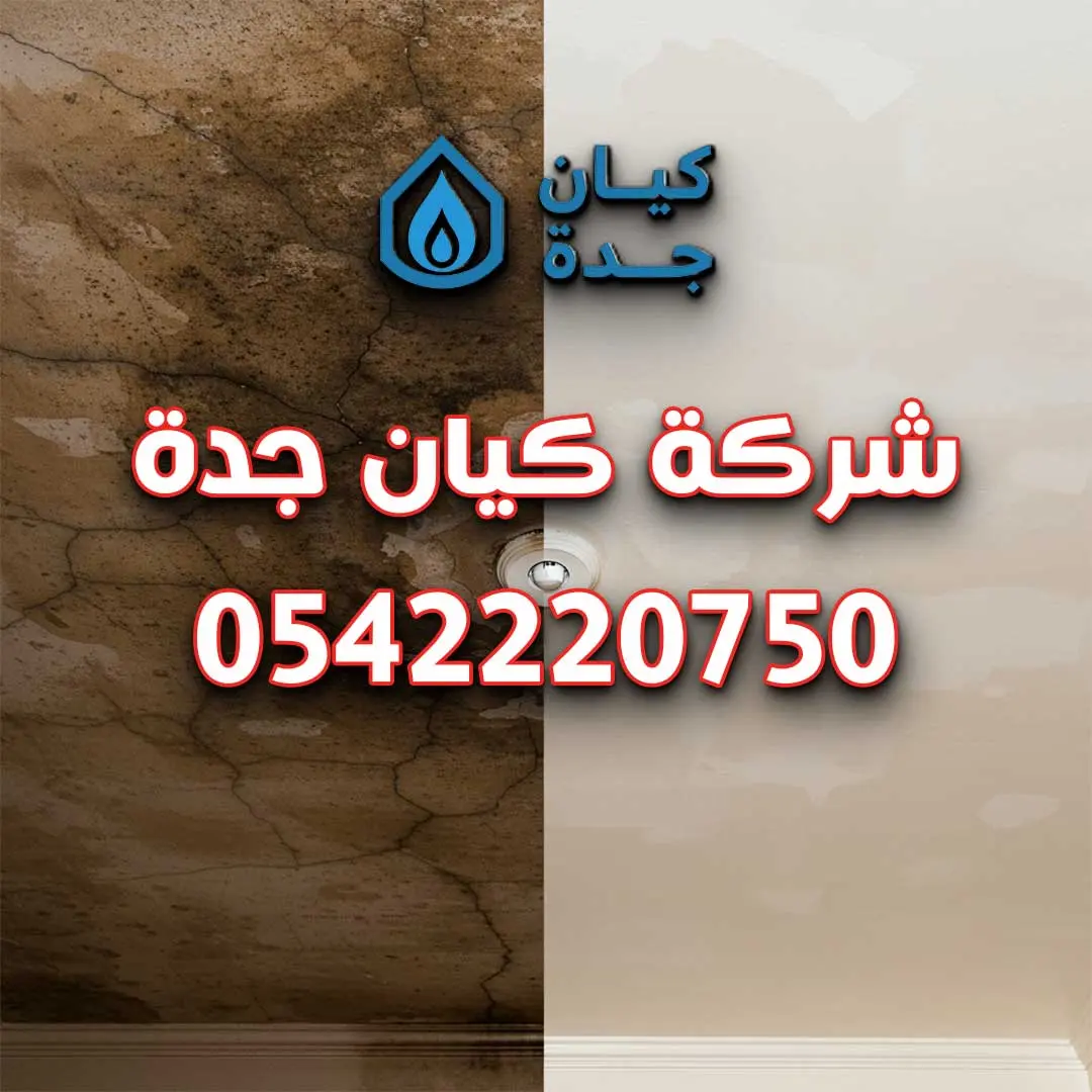 أفضل شركة كشف تسربات المياه بجدة