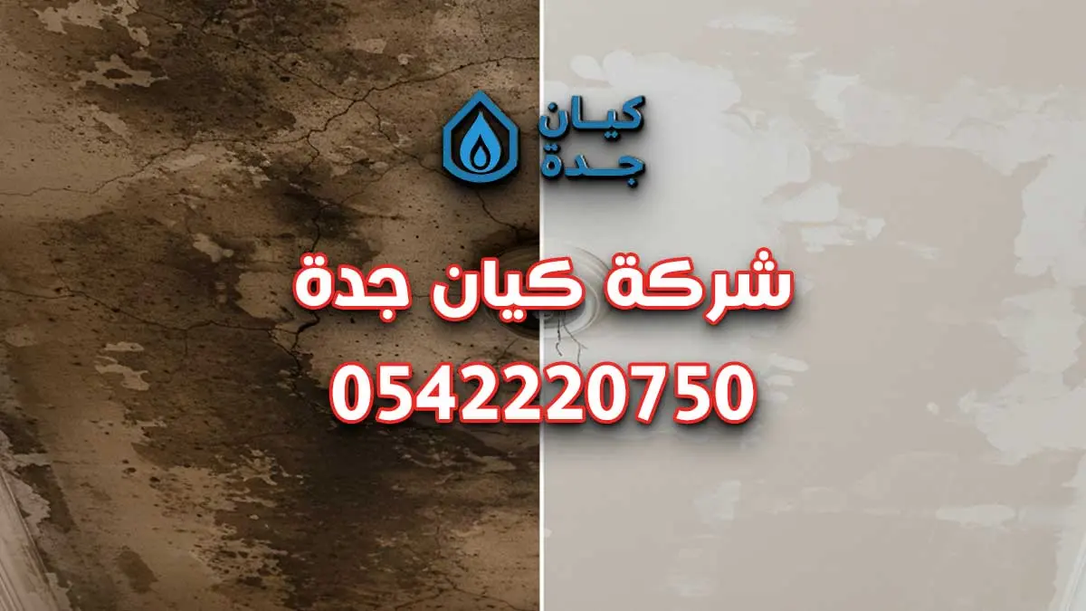 كشف تسربات المياه جدة
